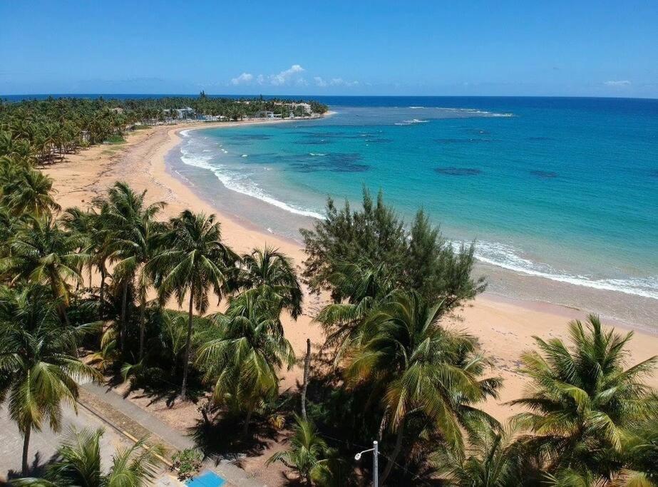 Relaxing Studio Near El Yunque With Pool View Luquillo Dış mekan fotoğraf