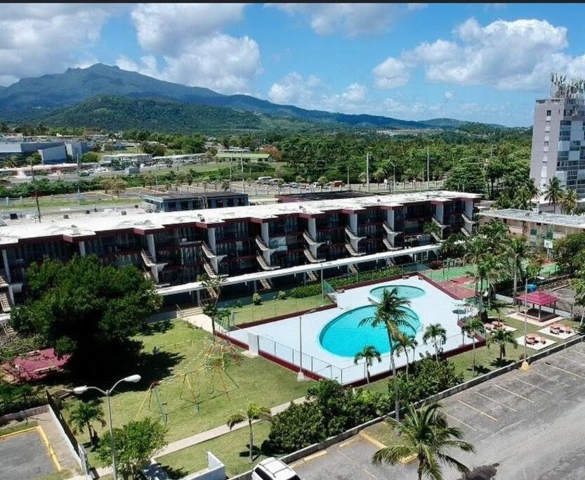 Relaxing Studio Near El Yunque With Pool View Luquillo Dış mekan fotoğraf